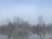 26th Feb 2021 - A bit of fog
