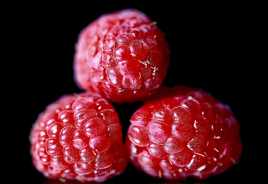 Red Raspberries  by carole_sandford