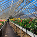 Greenhouse at the local park. by batfish