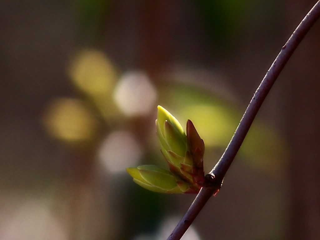 Anticipation... by marlboromaam