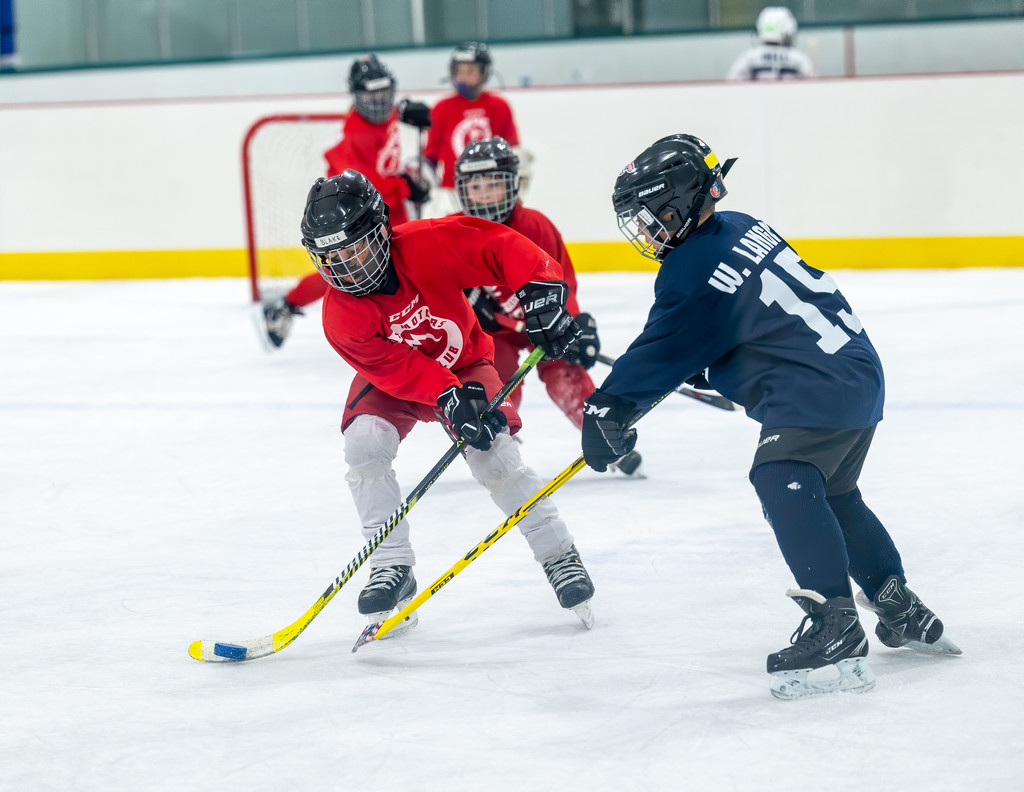 My little hockey player by dridsdale