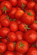 8th Mar 2021 - Tomato lunapic red 3