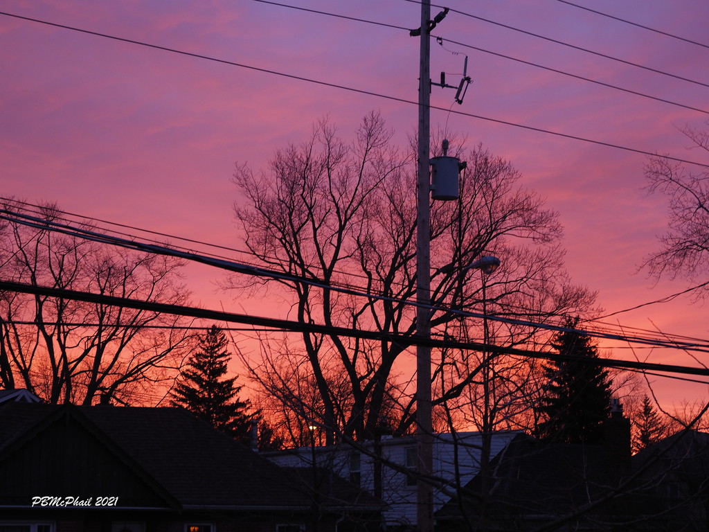 Red Sky by selkie