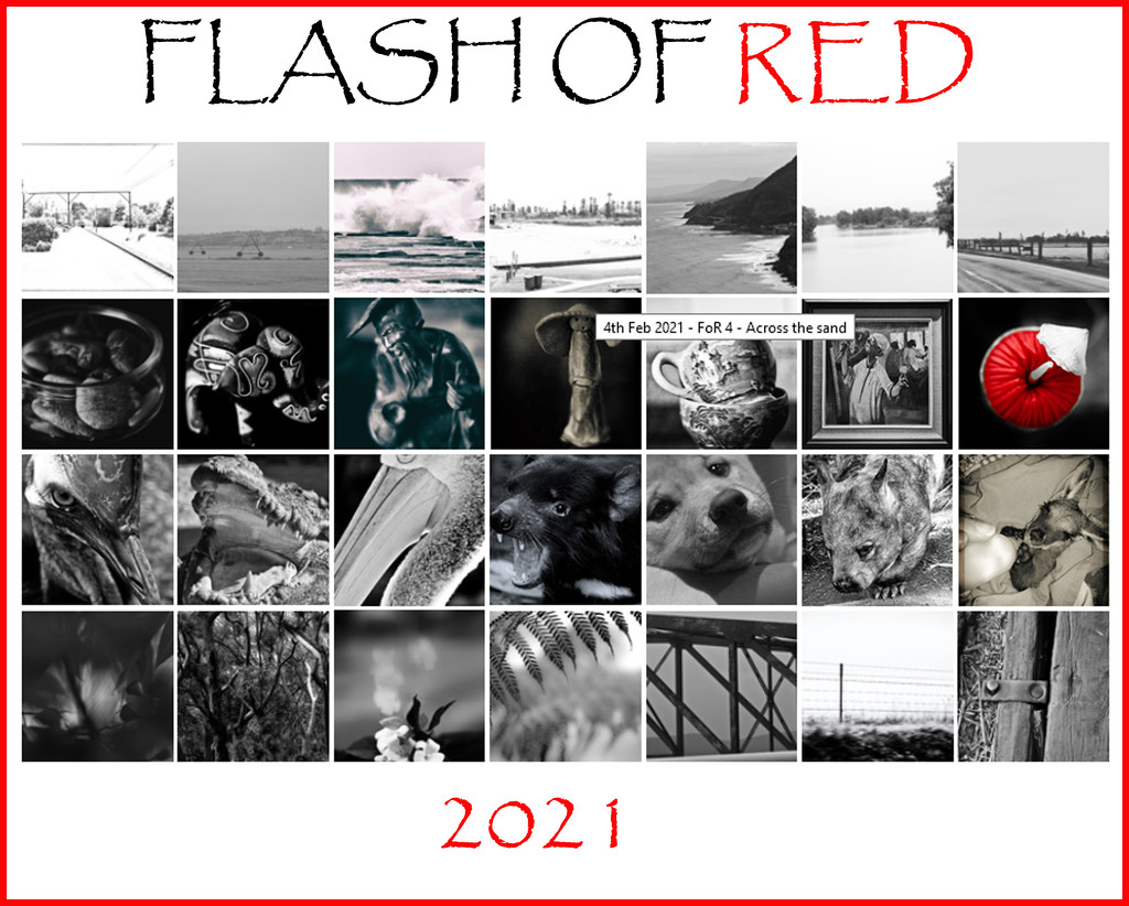 Flash of Red Calendar by annied