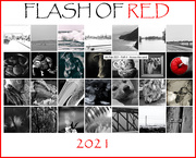 2nd Mar 2021 - Flash of Red Calendar
