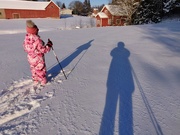 4th Feb 2021 - Shadows on the snow IMG_20210204_142523