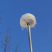 A street lamp with icicles IMG_20210205_103618 by annelis