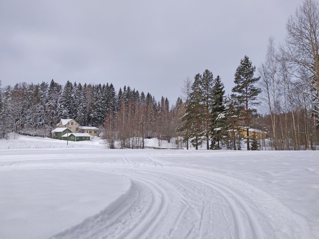 Ski trail on a field IMG_20210208_113558 by annelis
