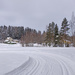 Ski trail on a field IMG_20210208_113558 by annelis