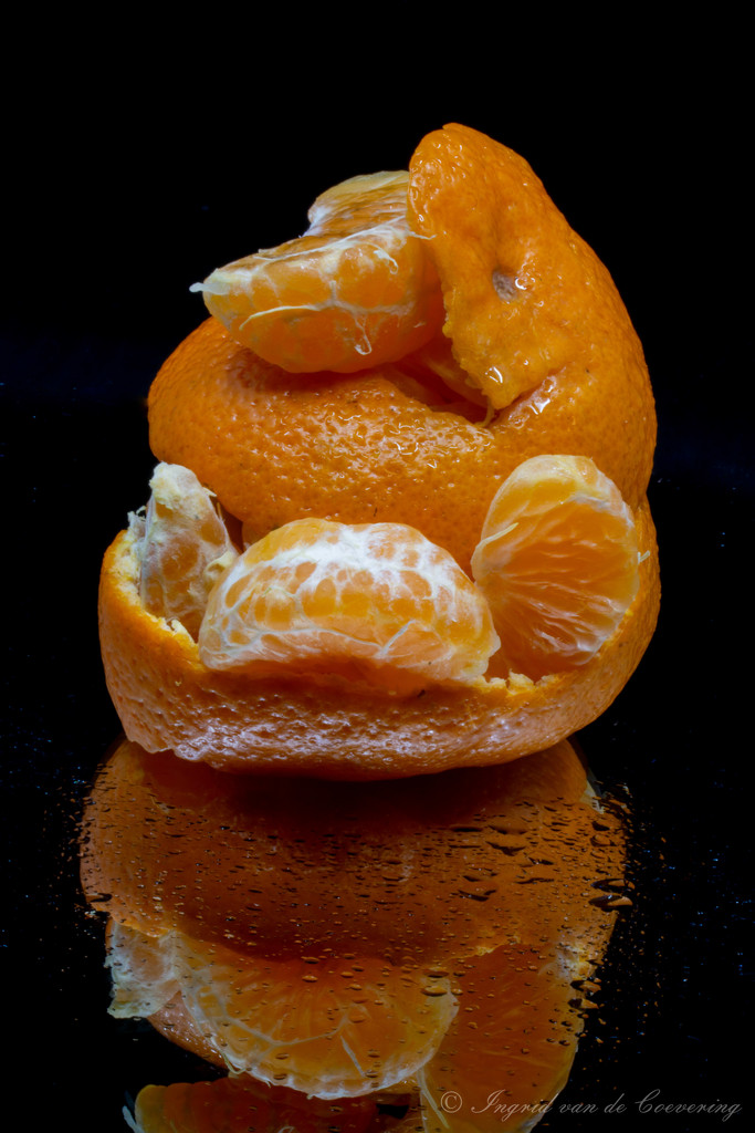 Orange surprise...  by ingrid01