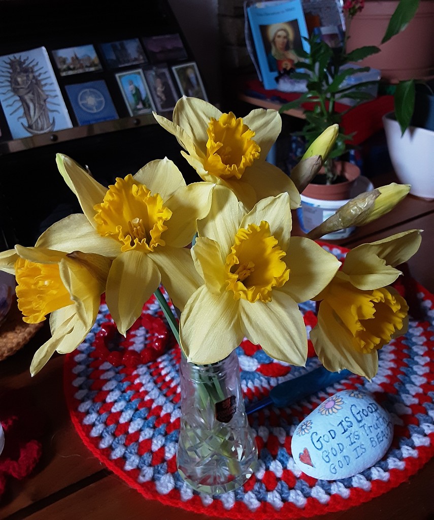 Daffodils by grace55