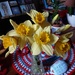 Daffodils by grace55