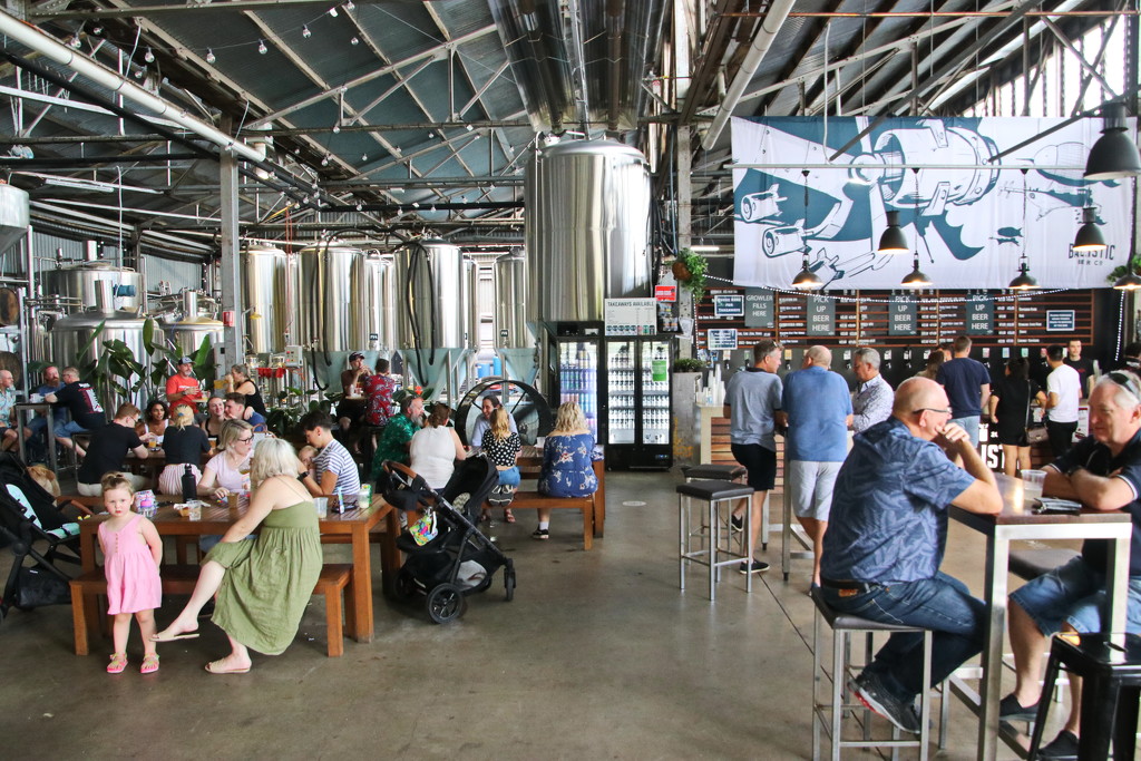 The Rise and Rise of Craft Breweries by terryliv