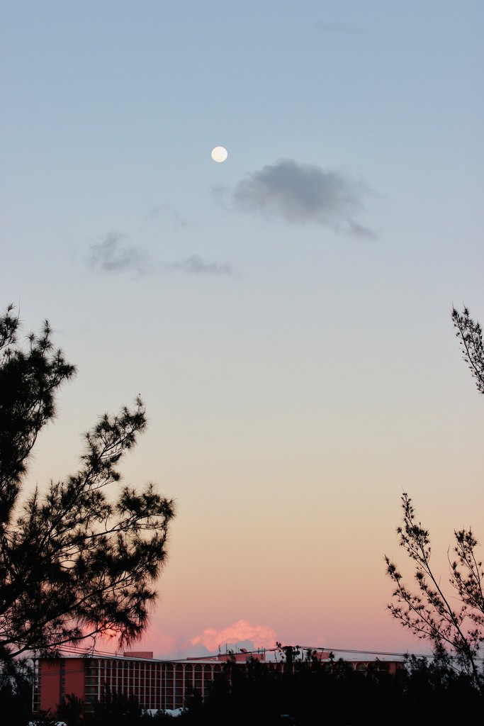 Cotton Candy Clouds by lisasavill