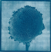 9th Mar 2021 - Naked and Alone Cyanotype