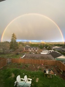 5th Mar 2021 - Love rainbows in your own backyard 
