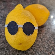 10th Mar 2021 - Lemon Yellow