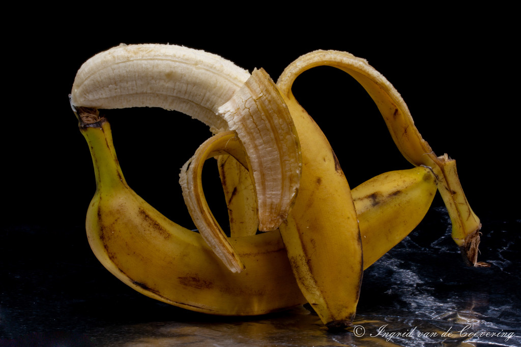 Bananas in love by ingrid01