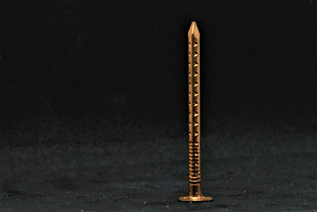 copper nail by christophercox