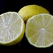 🌈 Yellow Lemons by phil_sandford