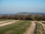 9th Mar 2021 - Kithurst Hill from Bury Hill
