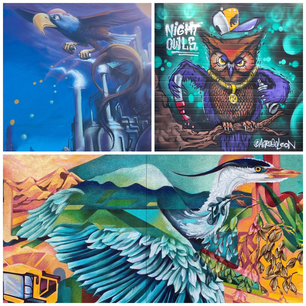 Street Art in Sacramento by thedarkroom
