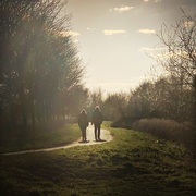 10th Mar 2021 - A walk in the park