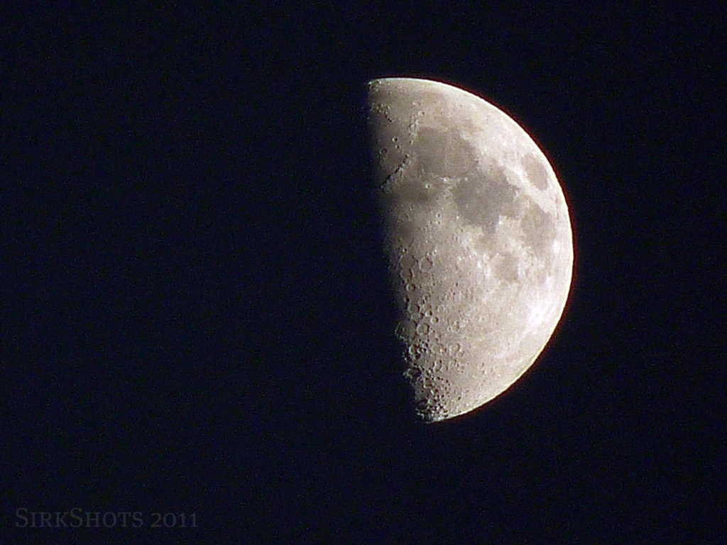 First Quarter Moon by peggysirk
