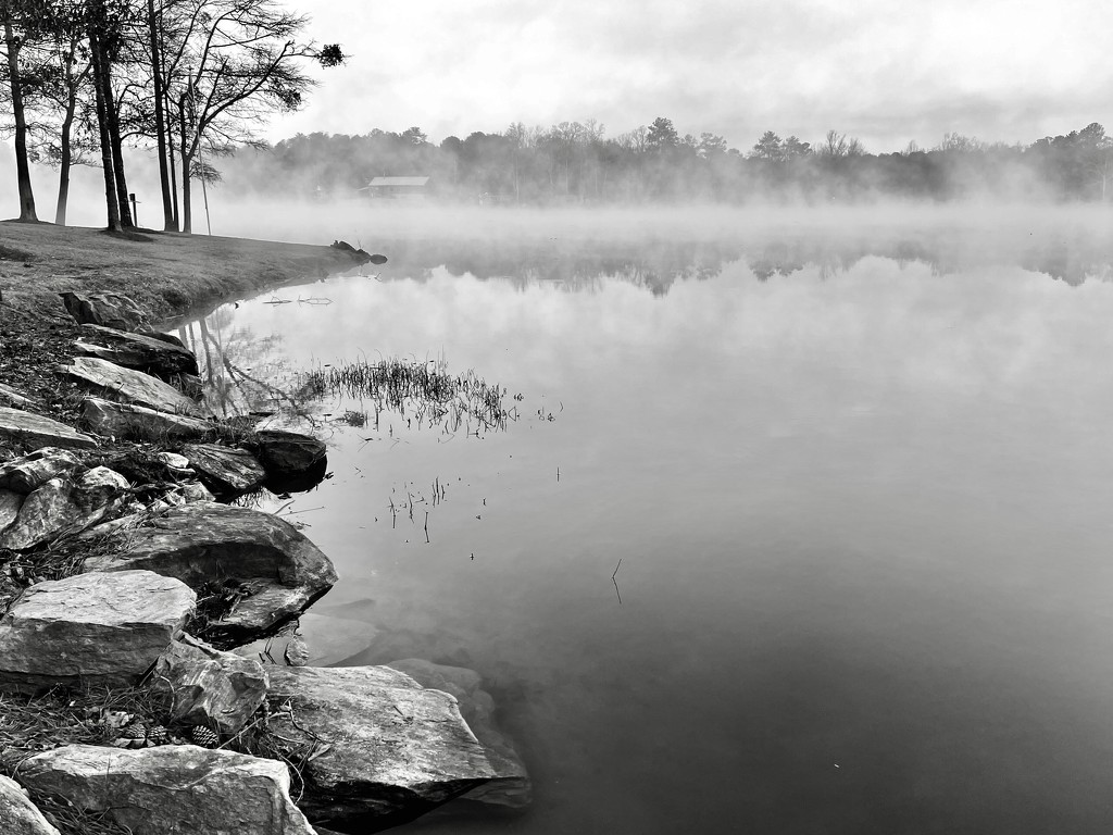 Lake fog and rocks.  by clayt