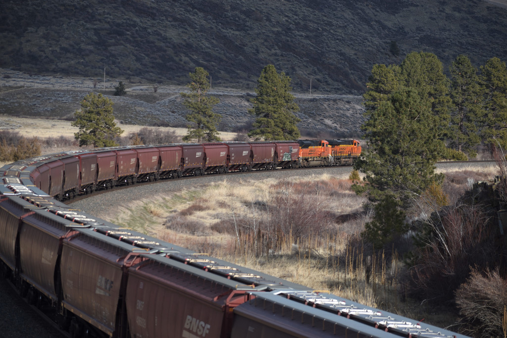 Burlington Northern Santa Fe Railroad by bjywamer