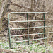 Gate in the Snowdrops by cwbill