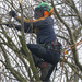 Tree Surgeon by pcoulson