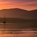 Sailboat at Sunrise Warmer by theredcamera