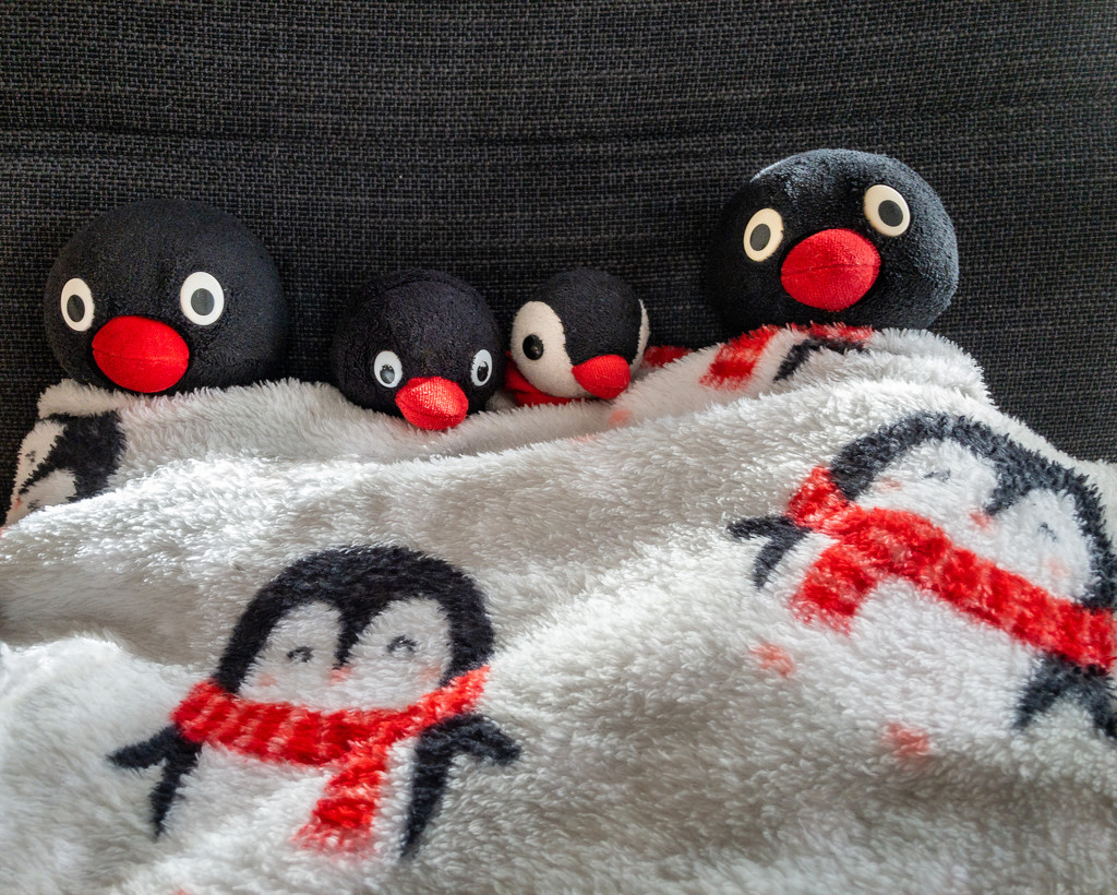 Pingu, L'ami des enfants  by pingu