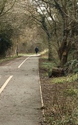 11th Mar 2021 - A stroll along an old railway line