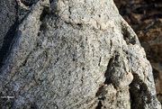 11th Mar 2021 - Granite boulder