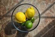 11th Mar 2021 - Fresh Limes And Lemons