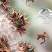 Spiky ball dragons... by marlboromaam