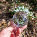 Lensball Flowers by cwbill
