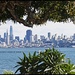 San Francisco skyline by madamelucy