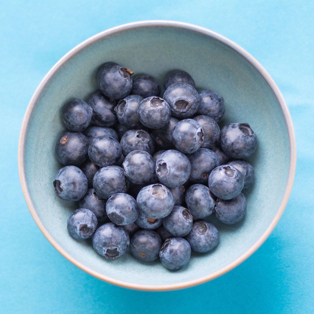 Blueberries by rumpelstiltskin