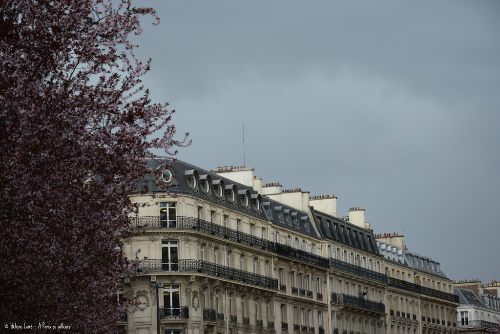 before the rain by parisouailleurs