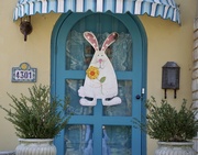 13th Mar 2021 - Here Comes Peter Cottontail