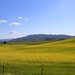 Sonoma County Landscape by markandlinda