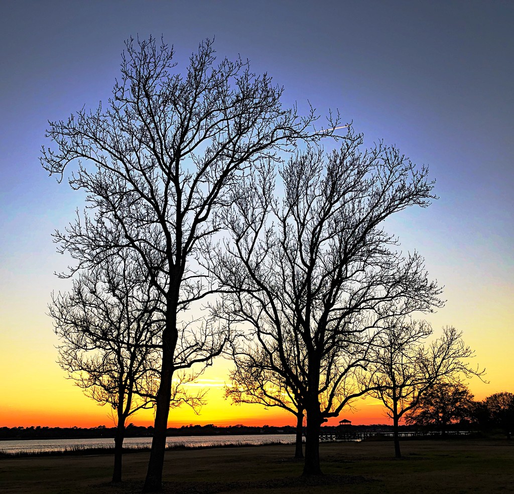 Sunset silhouette by congaree