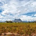 A different view of the Helderberg by ludwigsdiana