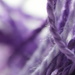 Purple 2 by sunnygirl