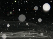 11th Jan 2011 - Snow Orbs