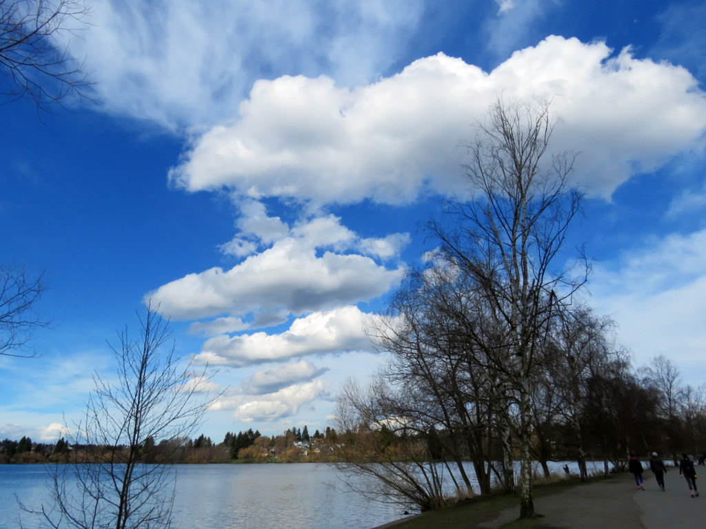Cloud Formations by seattlite