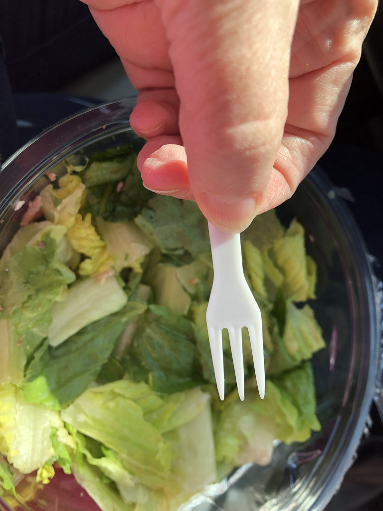 Tiniest Fork on Earth! by homeschoolmom